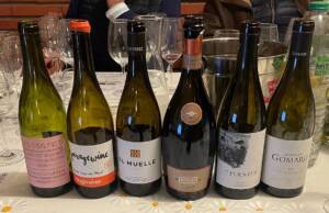 Selección curso de Iniciación cultura del vino a domicilio Gijon Abril 2022