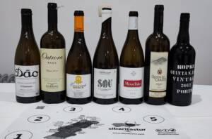 Selección de vinos de Portugal #grupodecatanoreña 2023