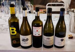 Selección para cata iniciación a la cultura del vino en Umami Gijon