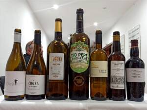 Selección de vinos de Jerez #grupodecatanoreña 2023