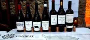 Selección vinos del Priorat #grupodecatanoreña Nov 2023