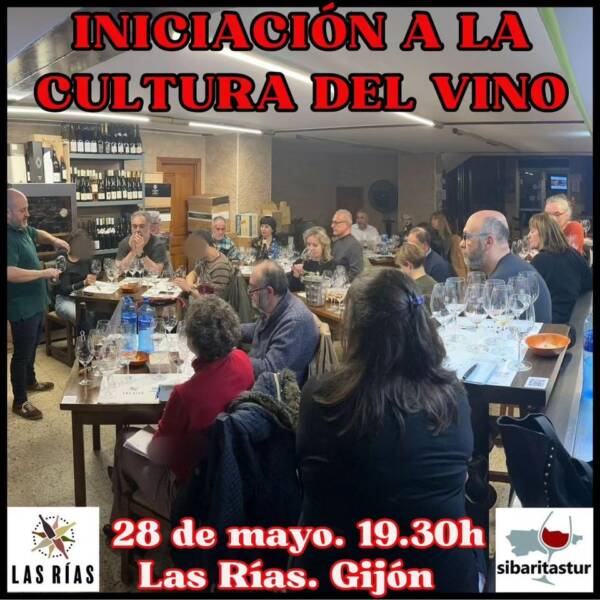 Cartel Iniciación a la cultura del vino 28 mayo de 2024. Las Rías Bajas. Gijón