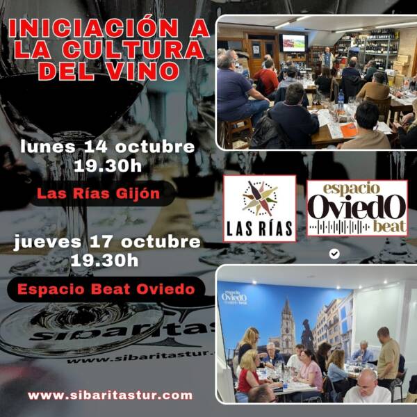 Iniciación a la cultura del vino en Las Rías Bajas de Gijón y Espacio Beat de Oviedo