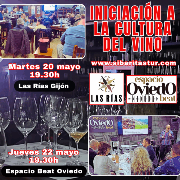 Cartel de la Iniciación a la cultura del vino n Oviedo y Gijón del vino en Oviedo y Gijon. Cata de vinos en Asturias