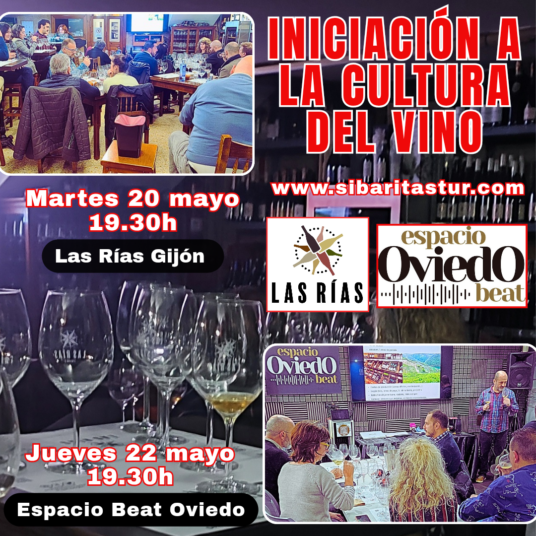 Cartel de la Iniciación a la cultura del vino n Oviedo y Gijón del vino en Oviedo y Gijon. Cata de vinos en Asturias
